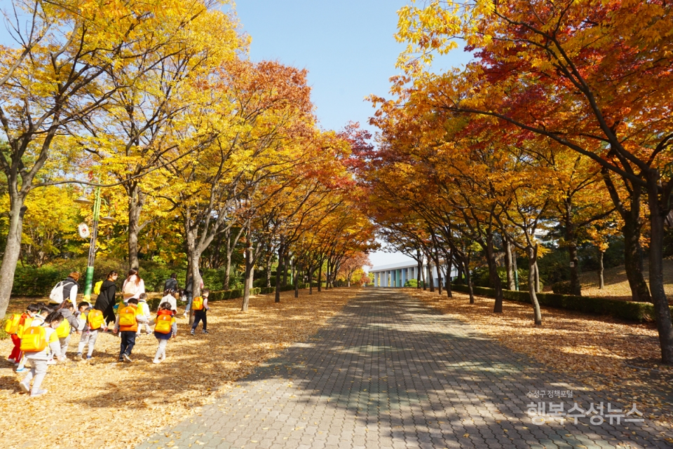 대구어린이회관으로 가을 소풍을 나온 유치원생들이 낙엽길을 걸으며 웃음꽃을 피우고 있다.