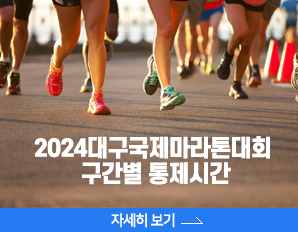  2024대구국제마라톤대회  구간별 통제시간, 자세히 보기 