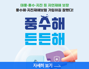 태풍.홍수.지진 등 자연재해 보장, 풍수해 지진재해보험 가입하길 잘했다! 풍수해 든든해, 자세히 보기 