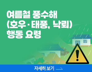 여름철 풍수해 (호우·태풍, 낙뢰)  행동 요령 , 자세히 보기 