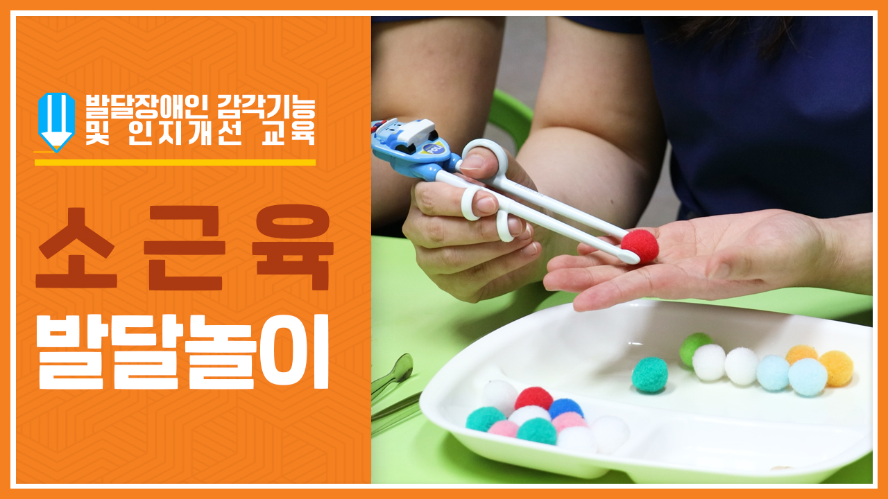 [발달장애인 감각통합 교육영상] 제2편